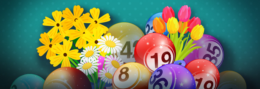 Bingo by GameDesire