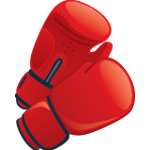 Boxing gloves - Soldout