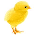 Easter chicken