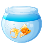 Goldfish - Soldout