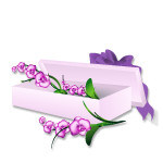 Flower gift box