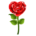 Unique rose