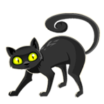 Black cat - Soldout