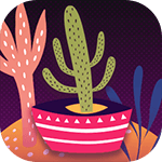 Fortaleza Cactuses