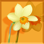 Daffodil Clan