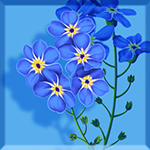 Forget-me-not Clan