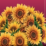 Sunflower Clan