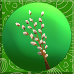Willow Catkins