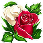 PL Roses